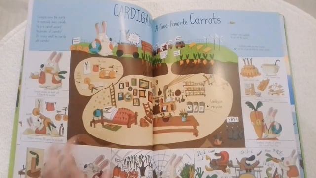 What inside the book : The Wonderful World of Pascal The Very Brave смотреть онлайн