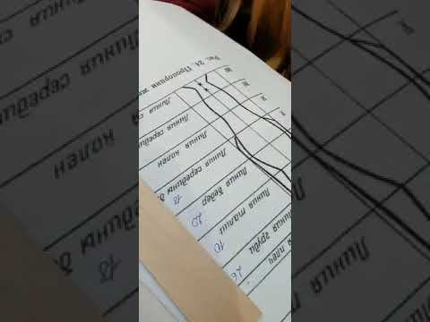 Моменты из курса-интенсива. Практика по замерам пропорций. смотреть онлайн
