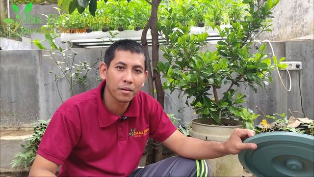 Panduan Lengkap Membuat Jadam Liquid Fertilizer (JLF) Dari Limbah Ikan