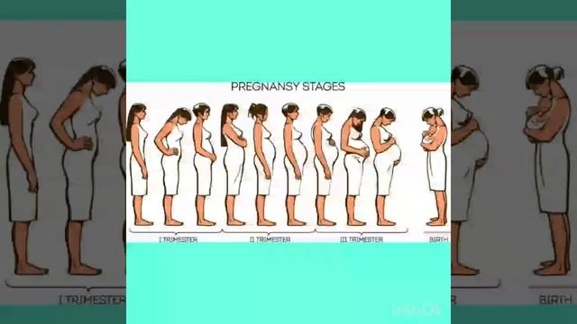 Хомиладорликнинг биринчи белгилари