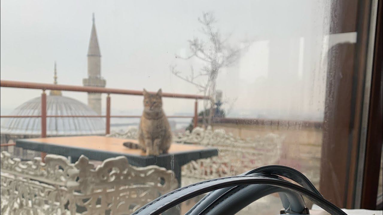 Про новый аэропорт Стамбула. Особенности, тонкости. Сколько времени закладывать в данном аэропорту. смотреть онлайн