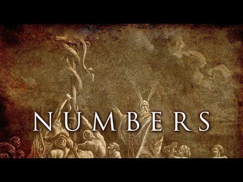 NUMBERS 12 смотреть онлайн