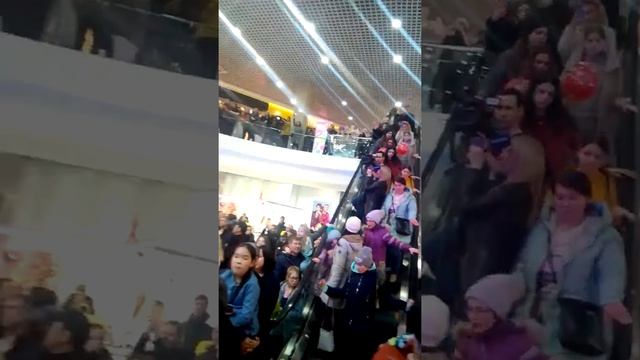 Зверев в модном квартале))) смотреть онлайн
