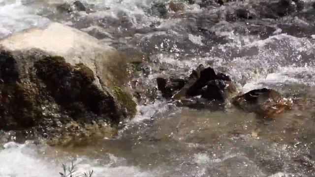 ЧИМБУЛАК. КАЗАХСТАН. АЛМАТЫ смотреть онлайн