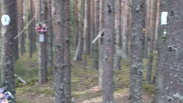 1111 Анонс смотреть онлайн