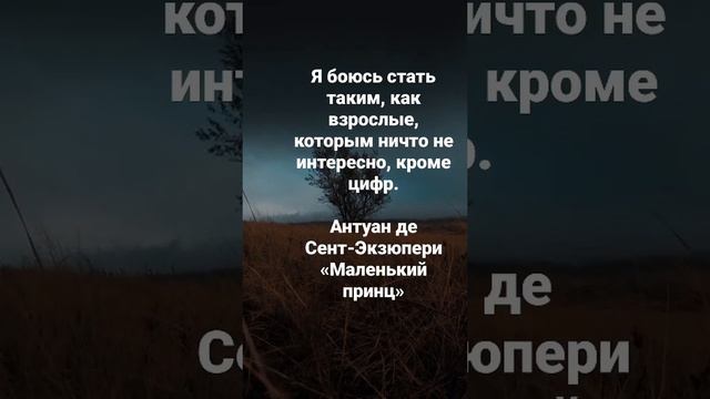 Слова из рассказа Антуана де Сент-Экзюпери "Маленький Принц" смотреть онлайн