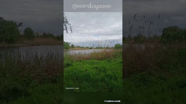 "СЕМЬЯ И РОД имеют значение" смотреть онлайн