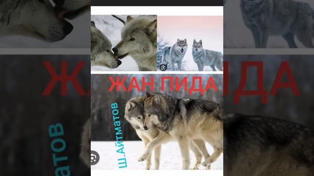 ЖАН ПИДА 1-ші бөлім | Романнан үзінді | Ш.Айтматов | аударған Шерхан Мұртаза | смотреть онлайн