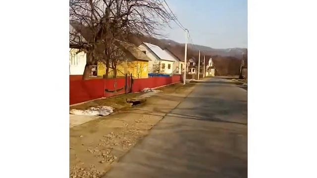 ЖЕСТЬ [1] смотреть онлайн