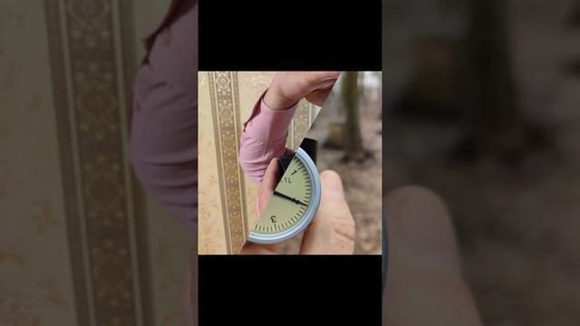 Спірометрія для навчального процесу