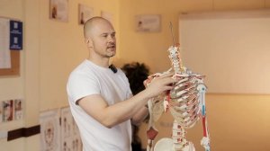 Увеличенные лимфоузлы. Места локализации