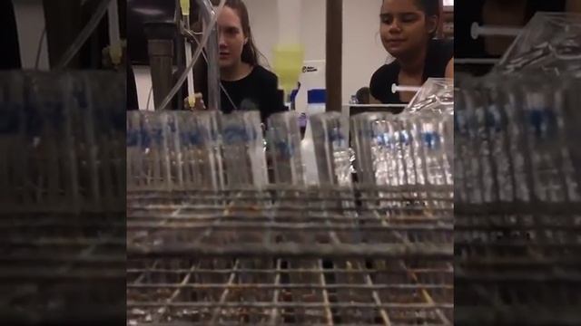 Q Sepharose Chromatography смотреть онлайн