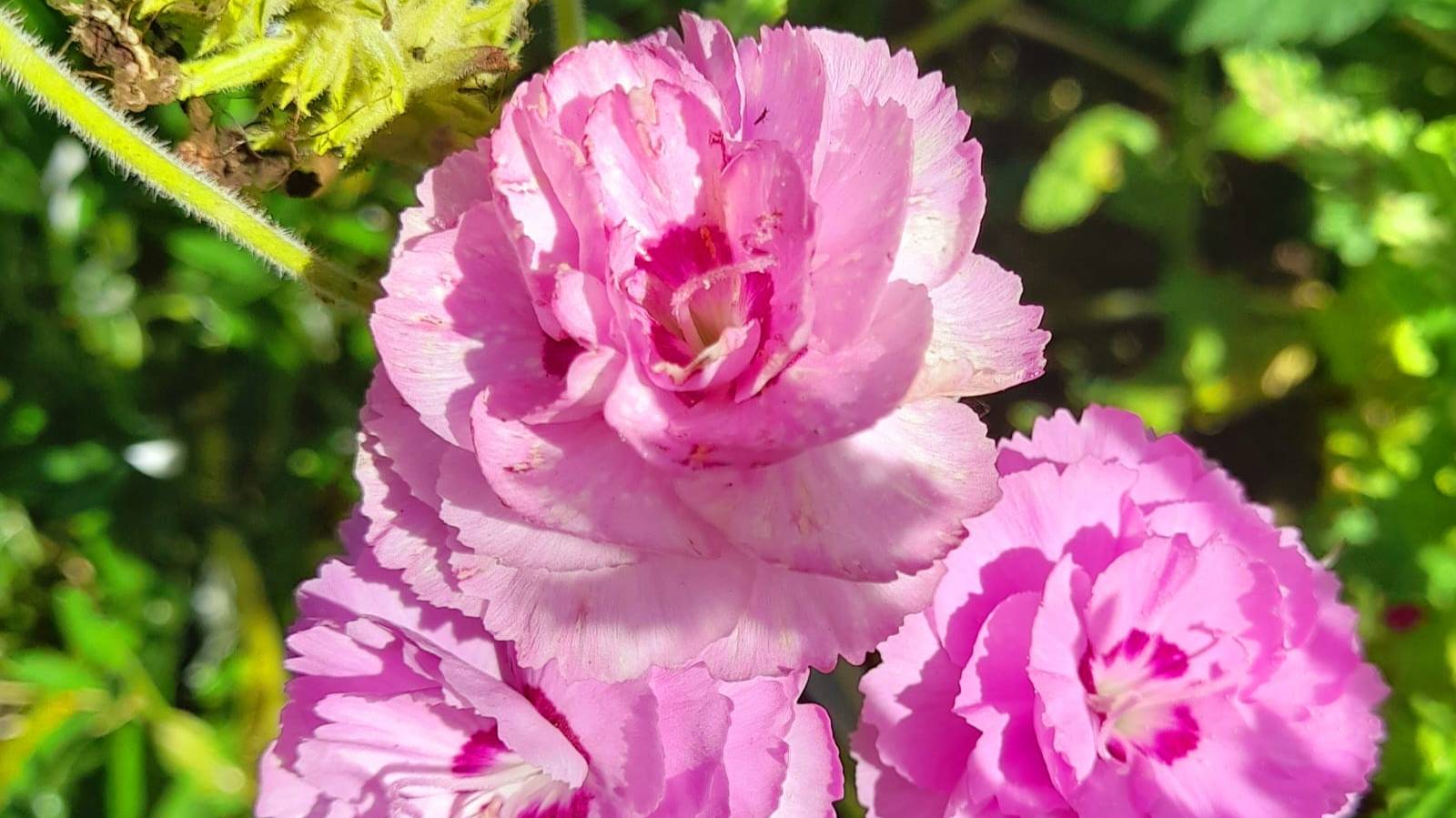 Притча о жизни. Мудрость через века. смотреть онлайн