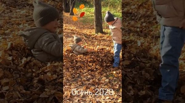 15 октября 2020 г.