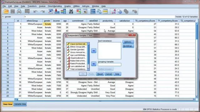 Independent t-test using SPSS смотреть онлайн