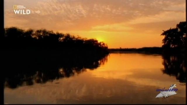 Le meraviglie dell'Okavango - 01 Sopravvivere смотреть онлайн