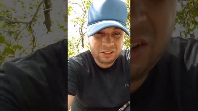 planta anil indigofera Medicinal Azul Anil Indigo Tinctoria смотреть онлайн