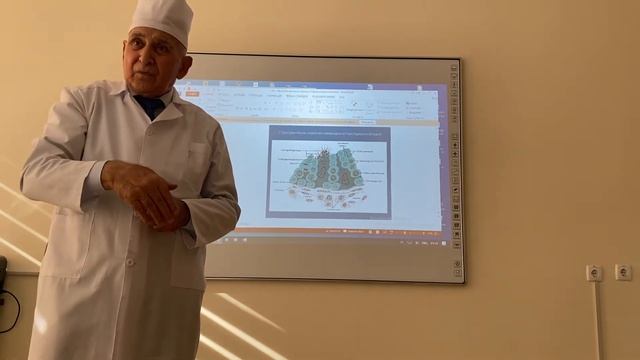 Гистология мужских половых органов 🥚🍳 смотреть онлайн