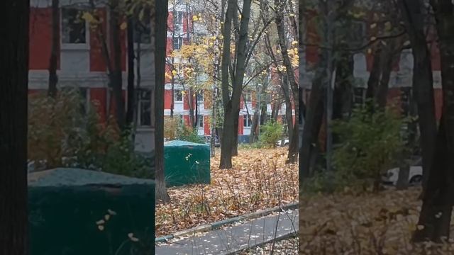 Листопад. Стихи. Эстэр. смотреть онлайн