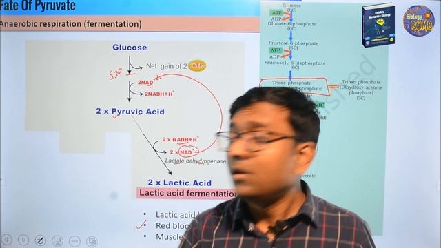 Fermentation I Respiration I NEET I Dr Kunal (KT) смотреть онлайн