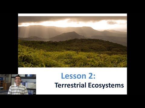 Lesson 5.4.2 - Terrestrial Ecosystems смотреть онлайн