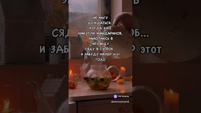 vkclips_20241129020248 смотреть онлайн