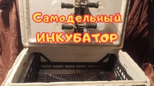 Инкубатор своими руками....