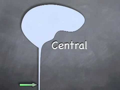 How to Examine Horner's Syndrome смотреть онлайн