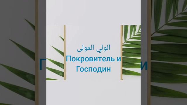 Прекрасные имена Аллаха 🌹🌳 смотреть онлайн