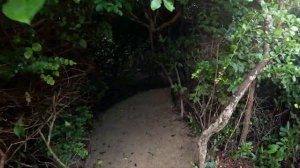 Uga Jungle Beach 5* Отель в Джунглях!