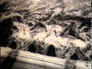 Использование воды человеком