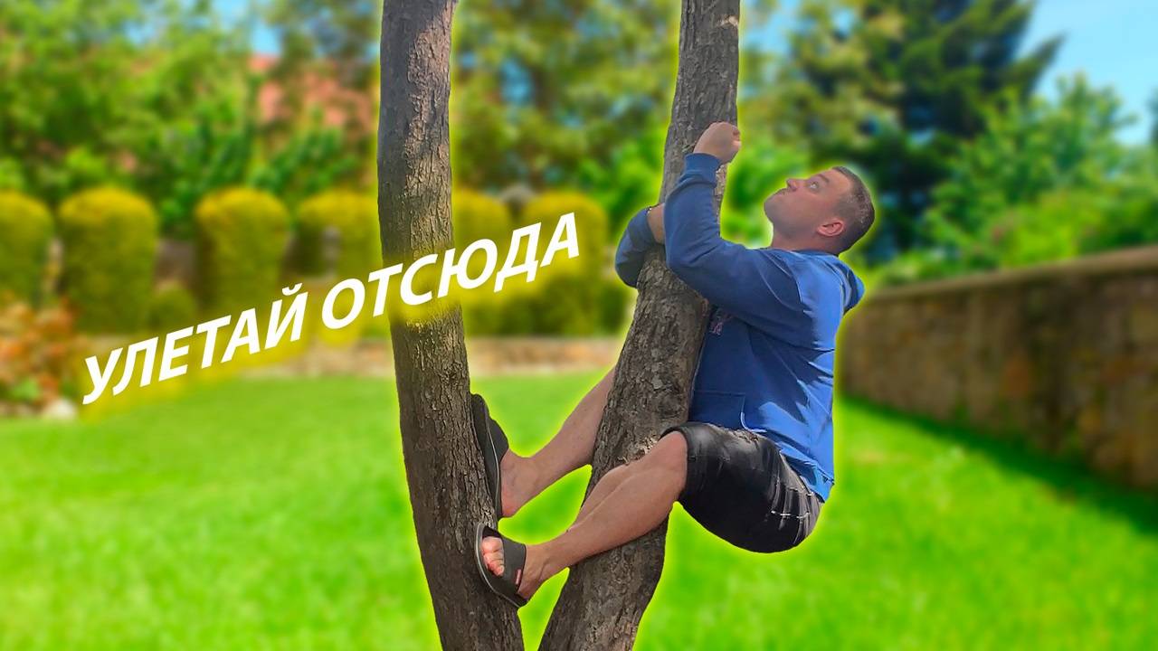 СЕРИАЛ "ВЕСЁЛАЯ СЕМЕЙКА" / 2 СЕЗОН / 60 СЕРИЯ / ДЯТЕЛ / GREY SHIP смотреть онлайн