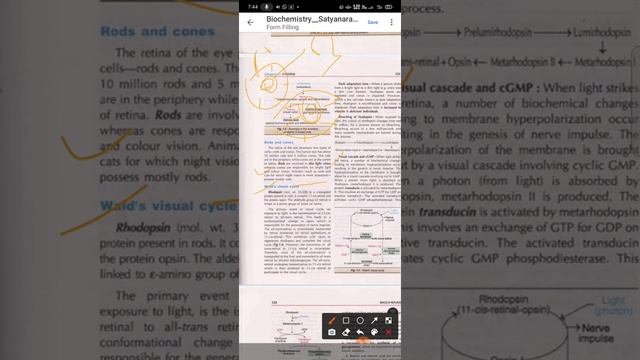 Vitamin A #visual cycle#satyanaryan смотреть онлайн