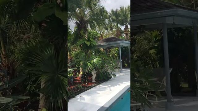 4097 NW 5th ave Boca Raton, Florida OPEN HOUSE 3/24/18 & 3/25/18 12-2pm смотреть онлайн