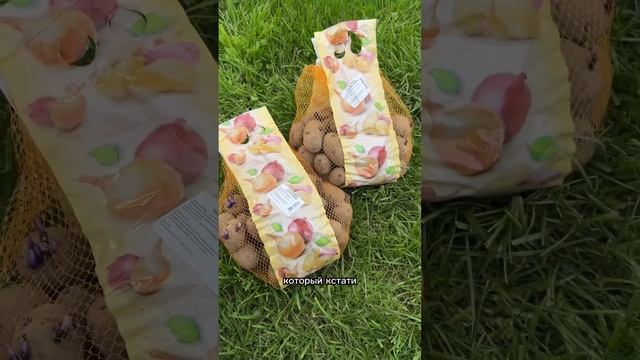 Фиолетовый картофель очень вкусный смотреть онлайн