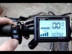 PAS, система ассистирования педалями электровелосипеда