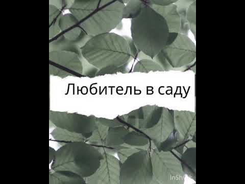 Клубника весной смотреть онлайн