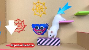 Хомяк попал в СУПЕР СЛОЖНЫЙ ЛАБИРИНТ ! Выбираемся из лабиринта вместе !