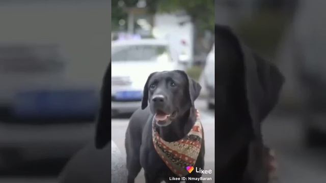 معنى الإنسانية смотреть онлайн