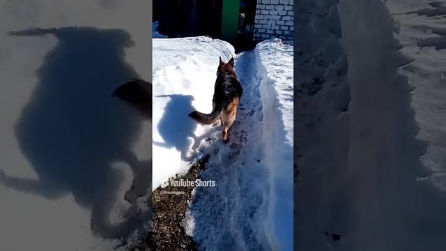 Снова Атося смотреть онлайн