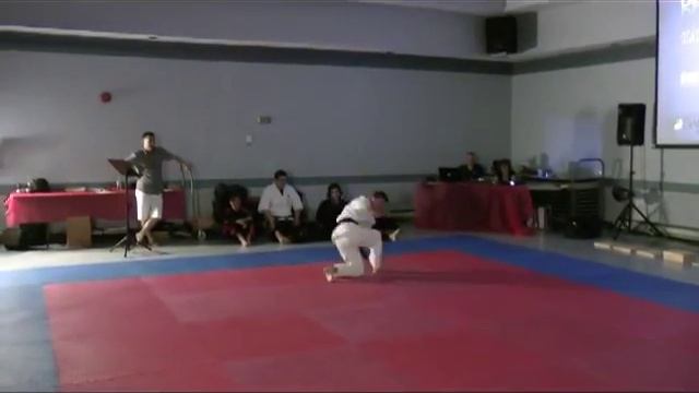 Eric Brousseau - kata - musical form - Gala Yosanryu - Black belt смотреть онлайн
