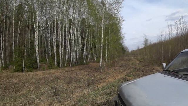 ЛЕСНЫЕ ПОЖАРЫ!!!!!! Берегите себя ! смотреть онлайн