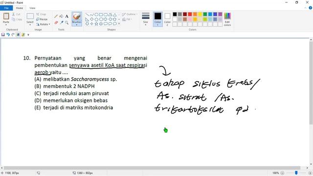 BIOLOGi - BU MIMIN (KTW) смотреть онлайн