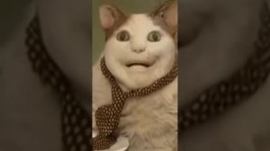 Бу, испугался?