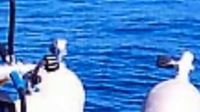 Short Film Cleopatra & Wrecks In Alexandria Sa