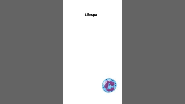 White Blood Cells - WBC's - Sciencce смотреть онлайн