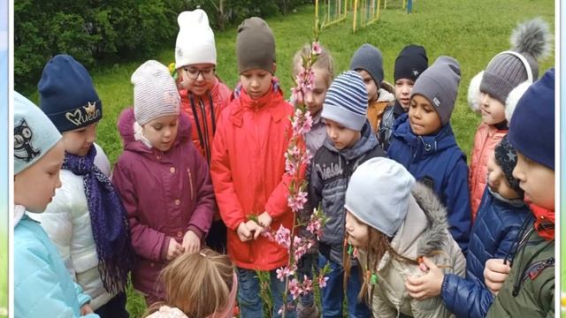 Звіт керівника ЗДО № 77 , м Херсон ,2022 р смотреть онлайн