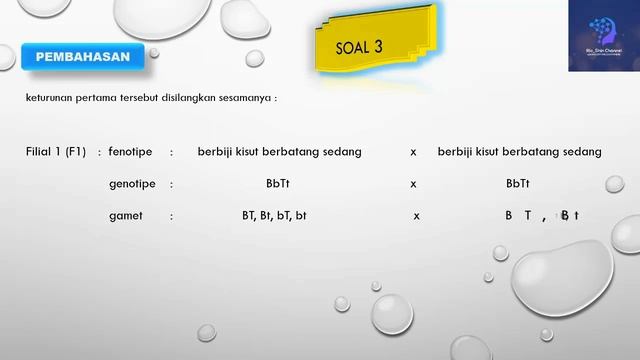 PEMBAHASAN SOAL HUKUM 2 PEWARISAN SIFAT BAGIAN 3 #IPASMP #SOALPERSILANGANDIHIBRID смотреть онлайн