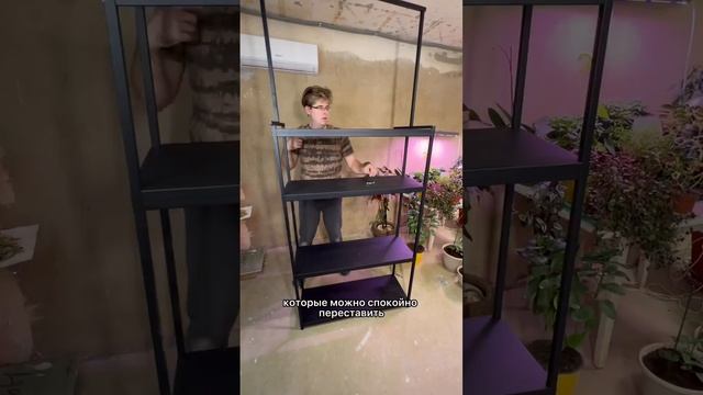 Стеллаж для рассады 🌱 смотреть онлайн