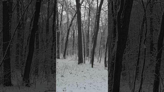 С первым днем зимы #первыйденьзимы #снег #зима #пенза #россия #пришлазима #зима2024 #декабрь2024 смотреть онлайн